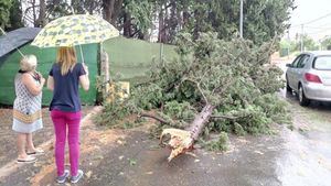 FOTOS La alcaldesa visita las zonas más afectadas por las lluvias