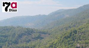 Los restos óseos hallados en Sierra Espuña no son humanos