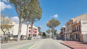 FOTOS Las brigadas podan los eucaliptos a la entrada de Librilla