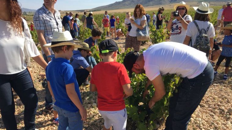 Bodegas Luzón celebra las VII Jornadas Vendimia Abierta