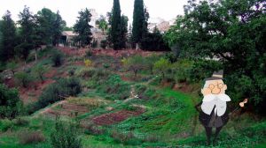 Organizan una ruta guiada por Sierra Espuña este miércoles