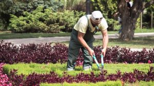 El Ayuntamiento convoca 17 plazas de promoción interna