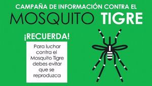 VÍDEO Vuelve el calor, vuelve el mosquito tigre