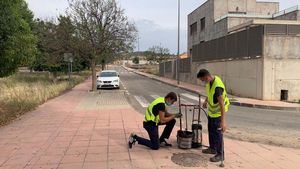 FOTOS Librilla inicia la desinfección de la red de alcantarillado