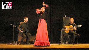 VIDEO y FOTOS Broche de oro a la III Semana Flamenca de Alhama