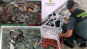 FOT. Intervienen 35 kg. de pulpo de pesca furtiva en Mazarrón