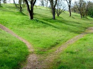 Caminos mentales