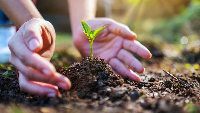 Ayudas para proyectos de interés en materia medio ambiental