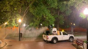 Este miércoles de madrugada, fumigación en zonas verdes