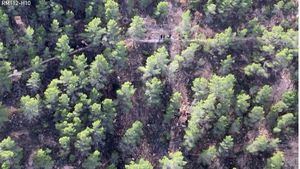 Un ciclista, herido grave tras una caída en la Sierra de Carrascoy