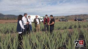 VÍD. Alhama, en el mapa del cultivo ecológico del áloe vera