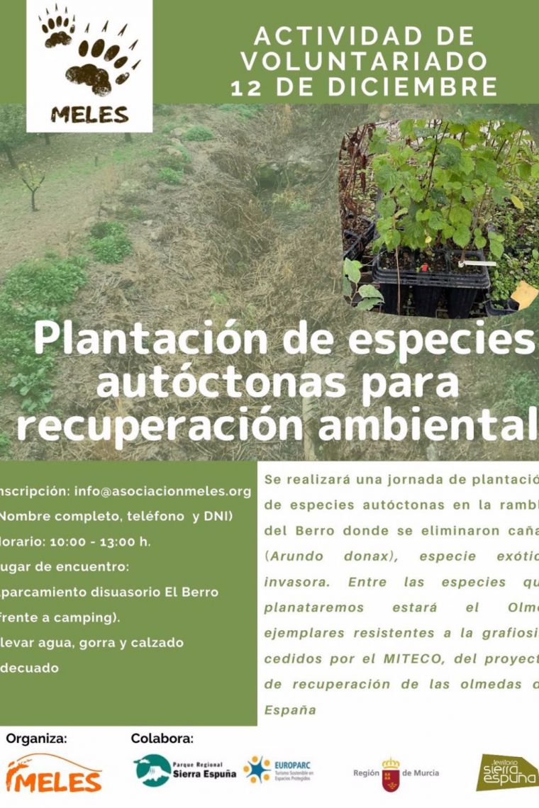 Un plan ecológico para este domingo 12 de diciembre en El Berro