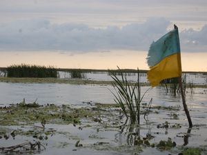 “Ucrania de entrada no”