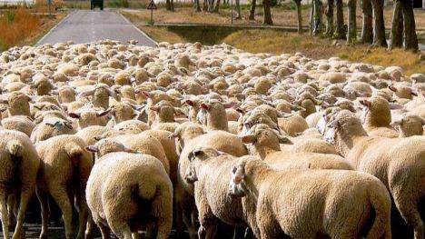 El pleno de Alhama se pone de acuerdo en solo dos puntos este martes