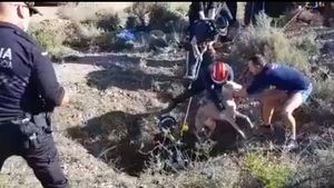 VÍDEOS Los Bomberos rescatan a un perro que cayó a un pozo de 8 m.