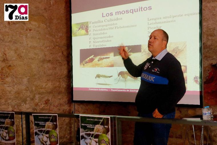 No conocemos ninguna manera de acabar con el mosquito tigre