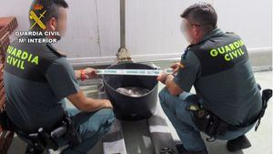 FOT. La Guardia Civil se incauta de 20 kilos de pulpo en Mazarrón