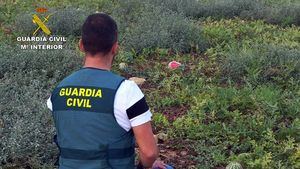 Desarticulada una banda de ladrones de sandías en el V. del Guadalentín