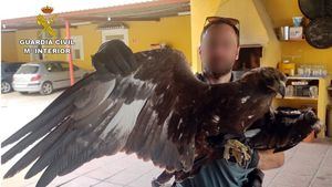 FOT. Guardia Civil recupera en Alhama un águila real herida