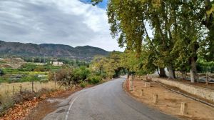 Mejoras en los accesos a Sierra Espuña desde Alhama