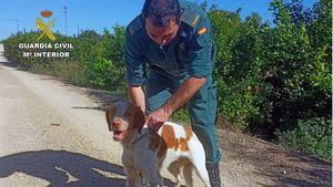 Guardia Civil rescata a un perro de un canal de riego en Librilla