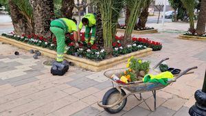 FOT. Los parterres de Alhama se engalanan por Navidad