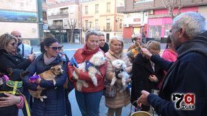 V/F Perros, gatos y aves reciben la bendición por San Antón
