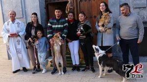 VÍDEO Media docena de animales recibe la bendición de San Antón