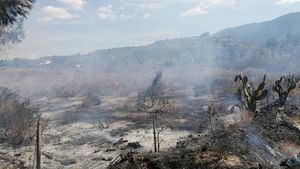 Incendio en un terreno agrícola de El Cañarico