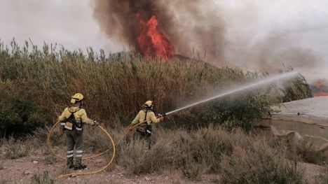 FOT. Bomberos apaga un incendio de cañas y matorral en Mazarrón