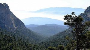 Cierran por nidificación del águila real varias zonas de Sierra Espuña