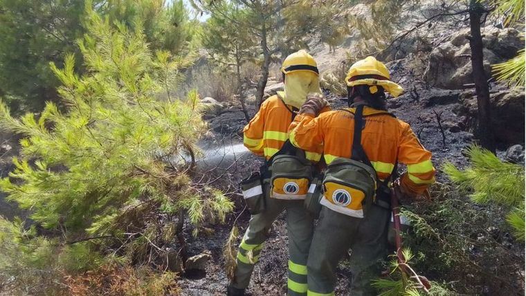 Extinguido un conato de incendio forestal en Mazarrón