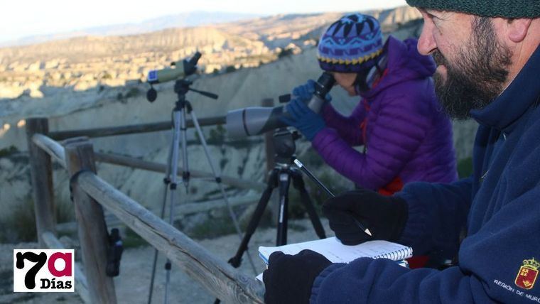 Meles contabiliza las aves acuáticas que invernan en Alhama