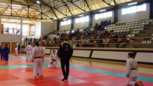 Ocho oros, dos platas y tres bronces para Judo Alhama