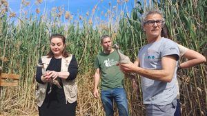 Liberan ejemplares de cerceta pardilla en los Saladares de Alhama