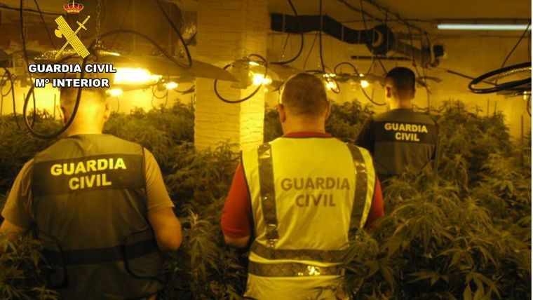 Cuatro detenidos en Alhama con armas y plantas de marihuana