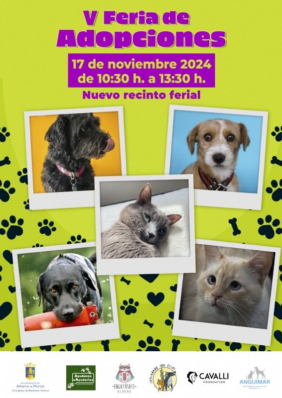 Alhama celebra la V Feria de Adopciones en el recinto ferial