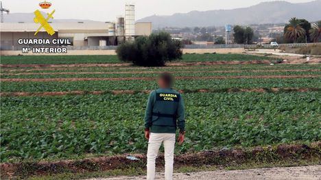 Un detenido en Alhama por explotación laboral en una finca agrícola