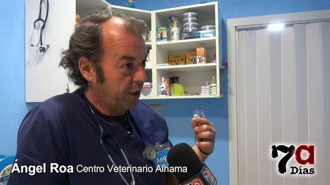 Las clínicas veterinarias de Alhama cierran este martes como protesta