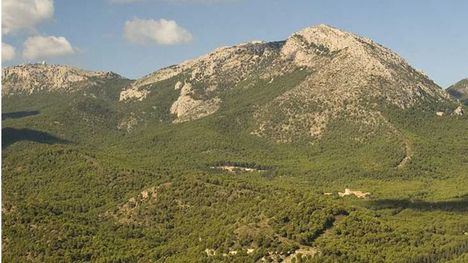 Ruta por Sierra Espuña para celebrar el Día Mundial de los Bosques