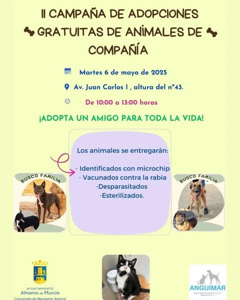 II Campaña de Adopción de mascotas el martes en el Mercado Semanal