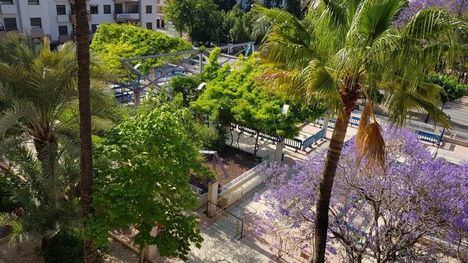PSOE: Las obras de la Plaza de la Constitución comienzan en junio