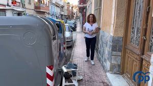 PP: El lamentable servicio de recogida de basura y limpieza es insostenible