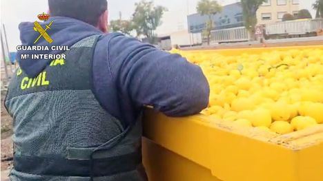 Tres empresarios, sospechosos de estafar medio millón de euros con cítricos ecológicos