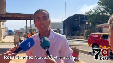 La alcaldesa afirma que no han ardido material de especial toxicidad en el incendio del Polígono