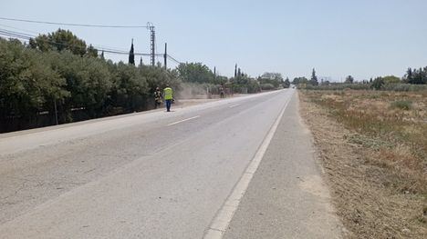 Continúan los trabajos de siega en caminos y carreteras municipales