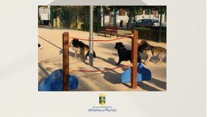 Tratamientos de desinfección en las áreas de recreo canino