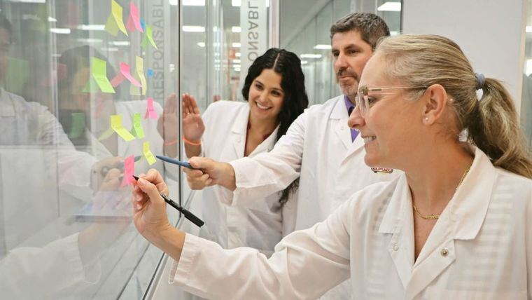 Participantes en la edición 2025 de los Grupos de Mejora