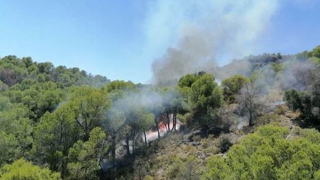 El fuego entre Alhama y Totana afecta a la zona del paraje Moriana