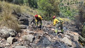 Controlado el conato de incendio que ha afectado a 1 hectárea de pinar y matorral